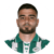 عادل ديميرباج اللاعب عادل ديميرباج