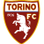 فريق تورينو